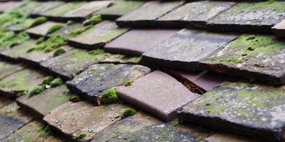 Lower Machen roof repair costs